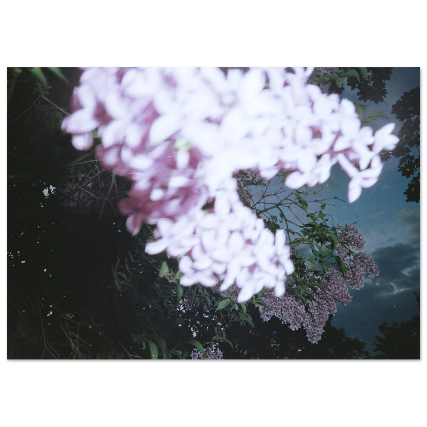 00c8ebeb-451d-40cf-bd6c-dc173574ac01