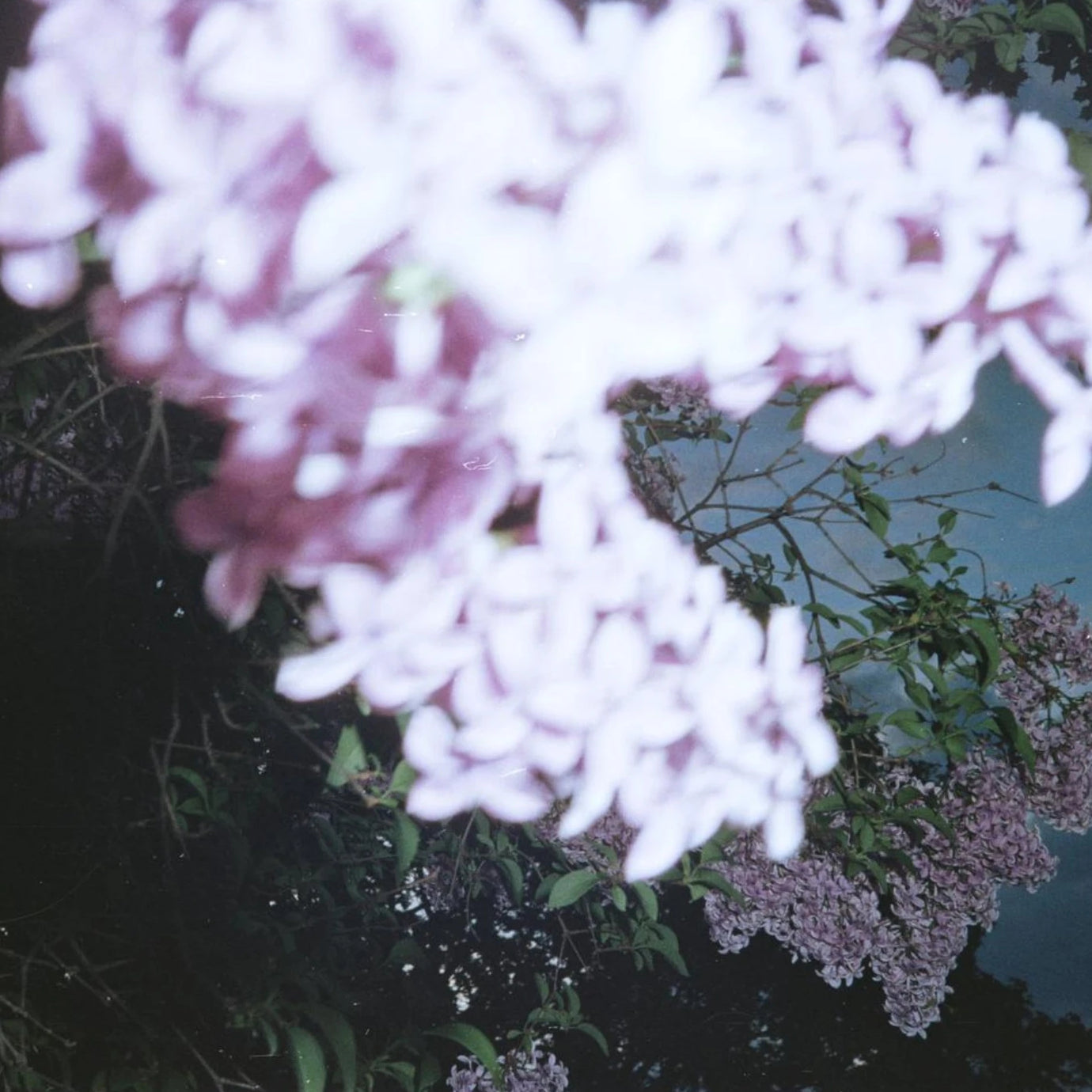 0c1f673f-05f7-4211-8191-b31d7786dc33