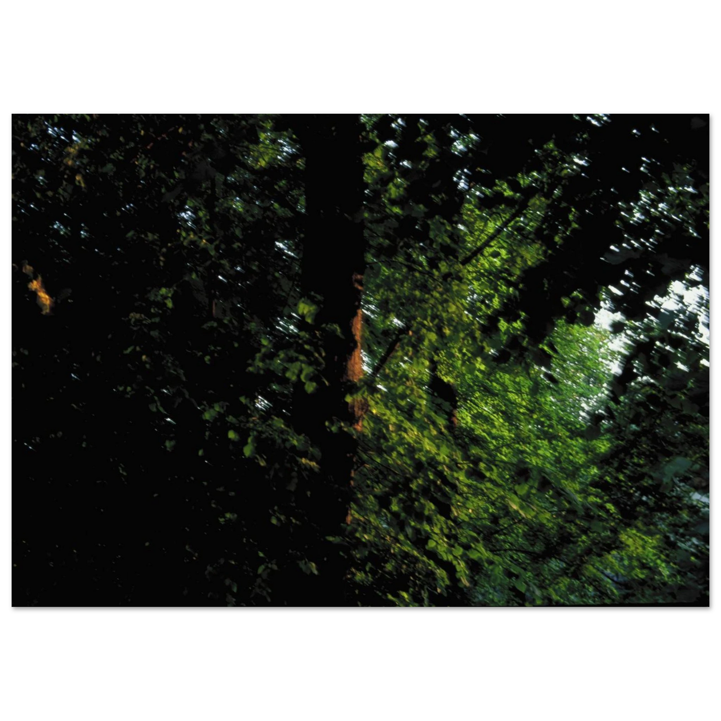 2f81de44-3624-4882-93c0-a10ba4afeb39