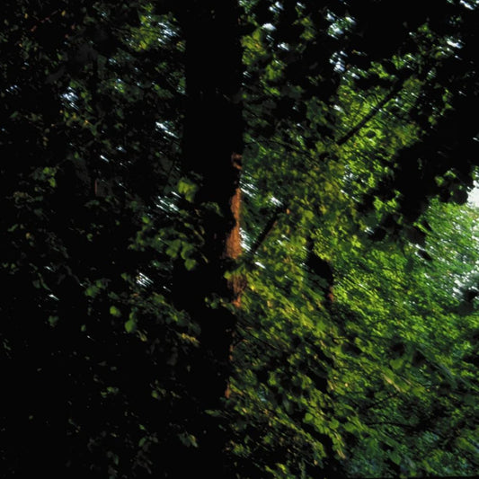 ce961085-8d57-4431-a14d-1e6c18517310