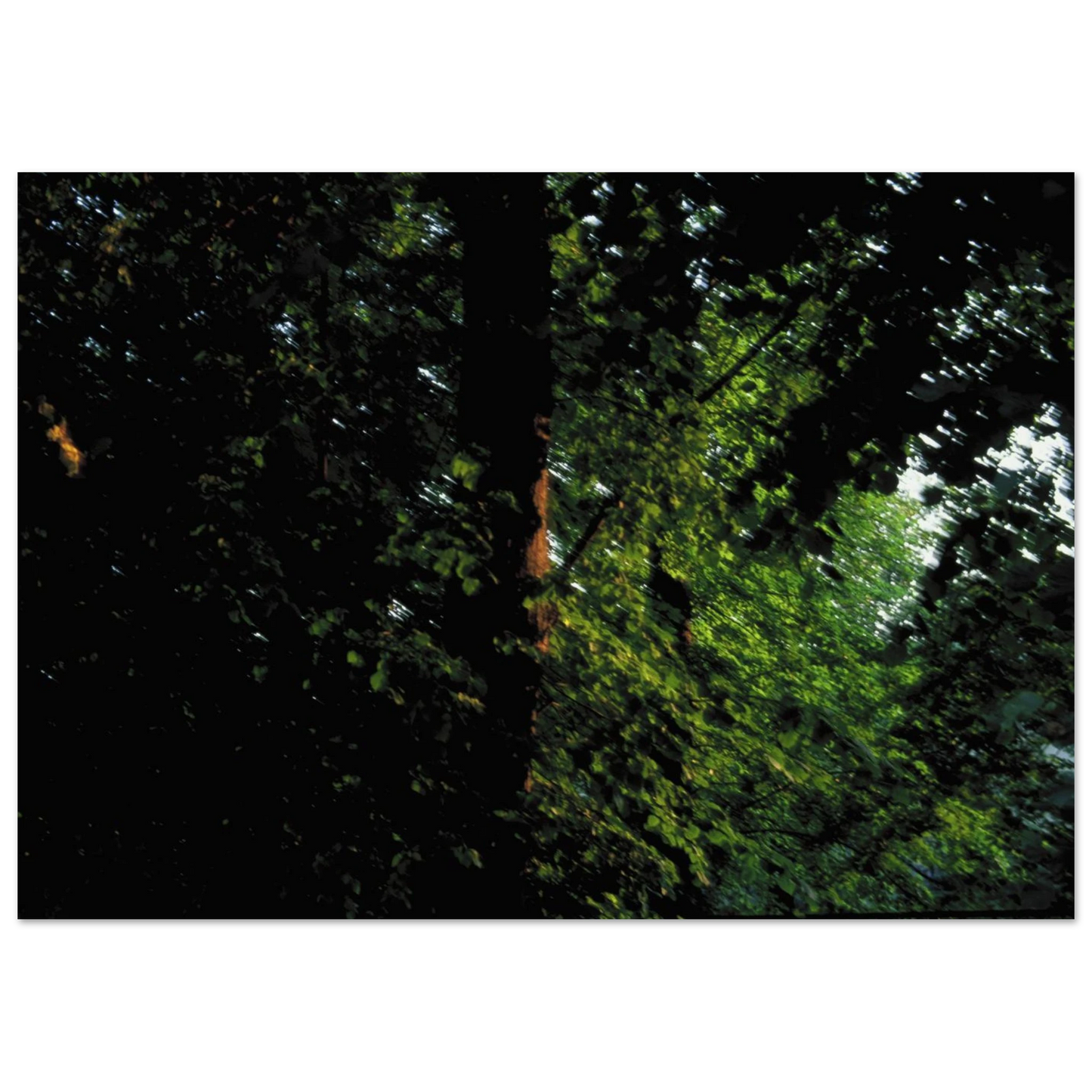 eda9ec46-3289-4593-b950-04a2f55248d1